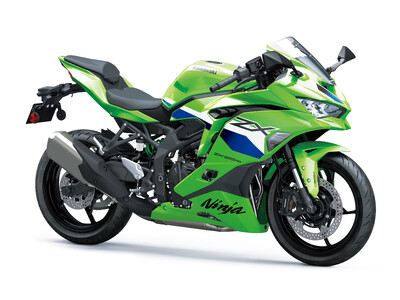 あるむページ 1月16日まで 2003 Kawasaki ZX636, B1 | JKBZXJB183A008222 | Bid History