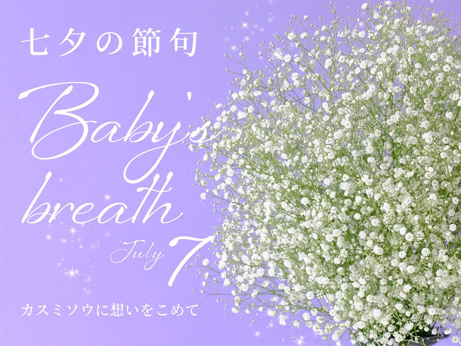 七夕の7月7日（月）はカスミソウの日！福島・奥会津の雪に包まれ、想いを育てた花「昭和かすみ草」を七夕限定販売！7月1日（火）販売スタート