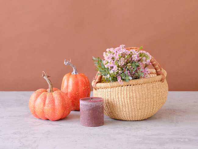 ハロウィンにも映えるネイティブフラワーの故郷・南半球は、いま春爛漫！野性味と洗練が共存するネイティブフラワーで、秋の空間にスパイスと彩りを