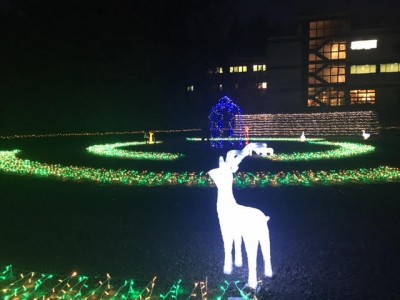 太陽グリーンエナジーと町おこしディレクター神岡裕介氏が共同企画　埼玉県嵐山町の太陽ホールディングス事業所でイルミネーション開始！