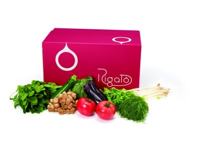 糖質をコントロールしたい方向けの野菜セットボックス「Rigato vege box（リガトベジボックス）」販売開始