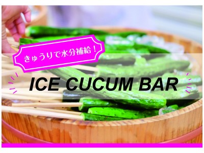 “きゅうり”が含有する95％の水分率(※1)に着目！早くも猛暑到来!夏を乗り越える、新たな水分補給方法を提案！「ICE CUCUM BAR」プロジェクトスタート