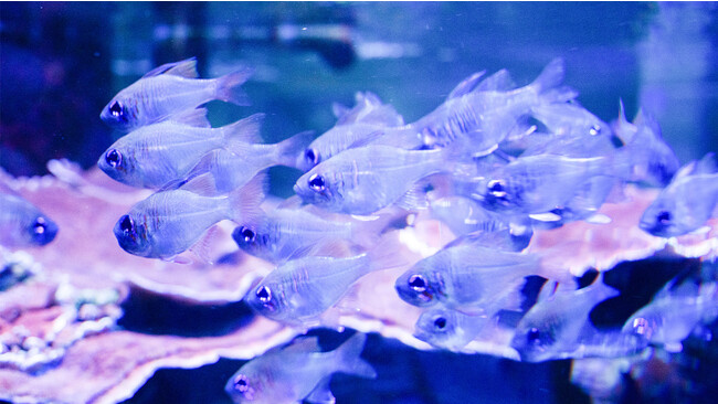 2023N521()yTOKYOtHgEH[NuقŎBAzIȎʐ^̎BuvzJÂ܂