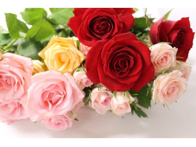 リスパ印西「バレンタイン限定～365本の薔薇スパ～」イベント開催
