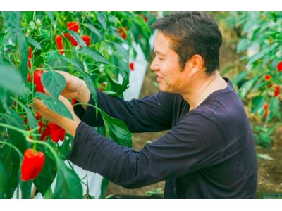 宮崎県新富町の地域商社「こゆ財団」が、「IoT推進コンソーシアム」に加盟。町の基幹産業である農業を中心にIoTの標準化を目指し、産業活性と持続可能性を高める