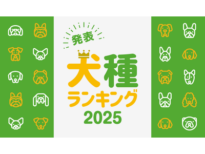 最新版！『人気犬種ランキング2025』