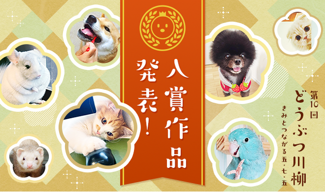 プレスリリース「第十回「どうぶつ川柳」入賞作品発表！愛情と個性あふれる作品をご紹介」のイメージ画像