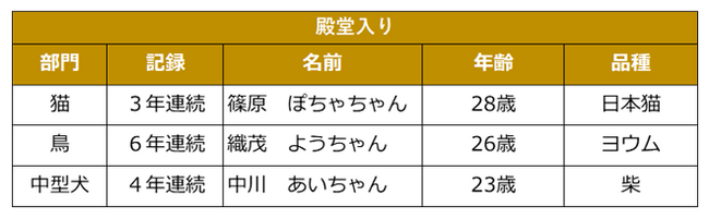 【9/15敬老の日】各どうぶつ最高齢さんを表彰する『ご長寿アルバム』公開！
