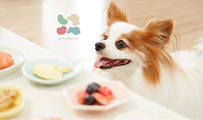 愛犬用おやつが毎月届く新サービス「anicoMarche」登場!