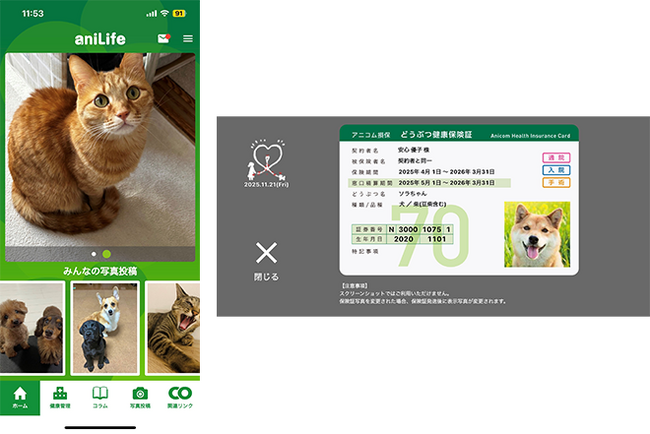 ペットライフサポートアプリ「aniLife」で「e-どうぶつ保険証」の表示が可能に