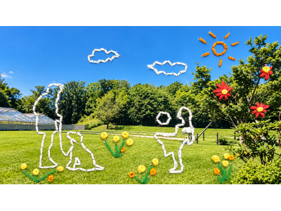 町田薬師池公園四季彩の杜 西園で「PARK&PLAY」を展開