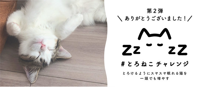 保護猫の譲渡活動を支援する とろねこチャレンジ 第二弾に関するご報告 ぺんてる株式会社 プレスリリース