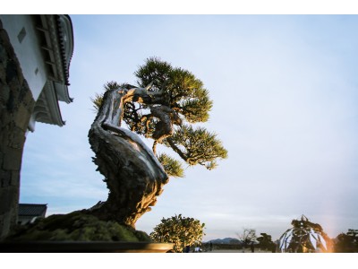 世界遺産・国宝 姫路城 西の丸庭園でくり広げられる伝統・文化とアートの饗宴「姫路城×彩時記」秋　2017年11月10日より開催