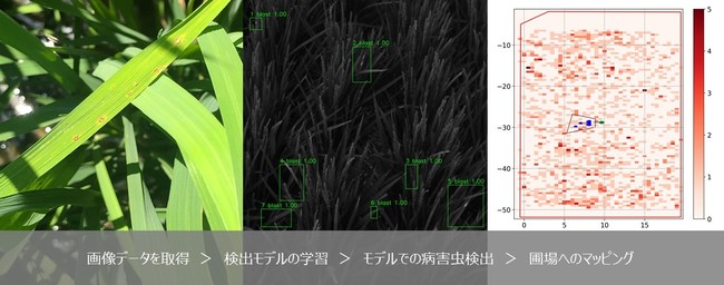 ディープラーニングによる「イネいもち病の検出技術」を確立