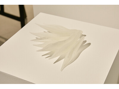 miratap Art Award / Art in the House 2025 受賞者発表|ミラタッ...