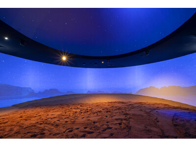 �y2025���E�֐������z�����x1�ʊl���I�����_���p�r���I�����E���E�f�����A������v���^��Ԃ����o