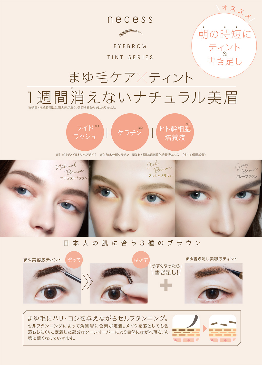 まゆ育×ティントで1週間消えない美眉「necess まゆ美容液ティント」＆「necessまゆ書き足し美容液ティント」を3月1日より発売