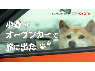 YouTubeで大人気の柴犬・小春がトヨタの「コペン GR SPORT」に乗って関東ドライブ旅へ出発！『小春がオープンカーで旅にでた』11月1日（犬の日）より4日間連続で配信