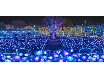 日本三大イルミネーション認定のあしかがフラワーパーク『光の花の庭～Flower Fantasy2020～』が2020年10月17日（土）より開催！