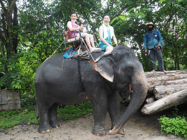 21DVDV[YŐV쁄E̗21 vCx[gł߂Ȃc v~AS DVDI 412ij蔭JnI