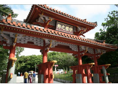 ANAグループの地域創生 取り組み　【沖縄エリア】～あったか、冬の穴場、沖縄。～