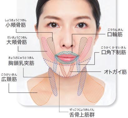 ＼ #うちで過ごそう ／　セルフエステで驚きの効果を実感！「表情筋」に効かせる顔筋マッサージを伝授