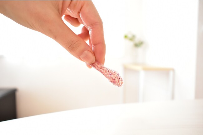 【NinjaFoods】蒟蒻×庄内野菜のジャーキー、シンガポールの庄内食文化紹介イベントに出品