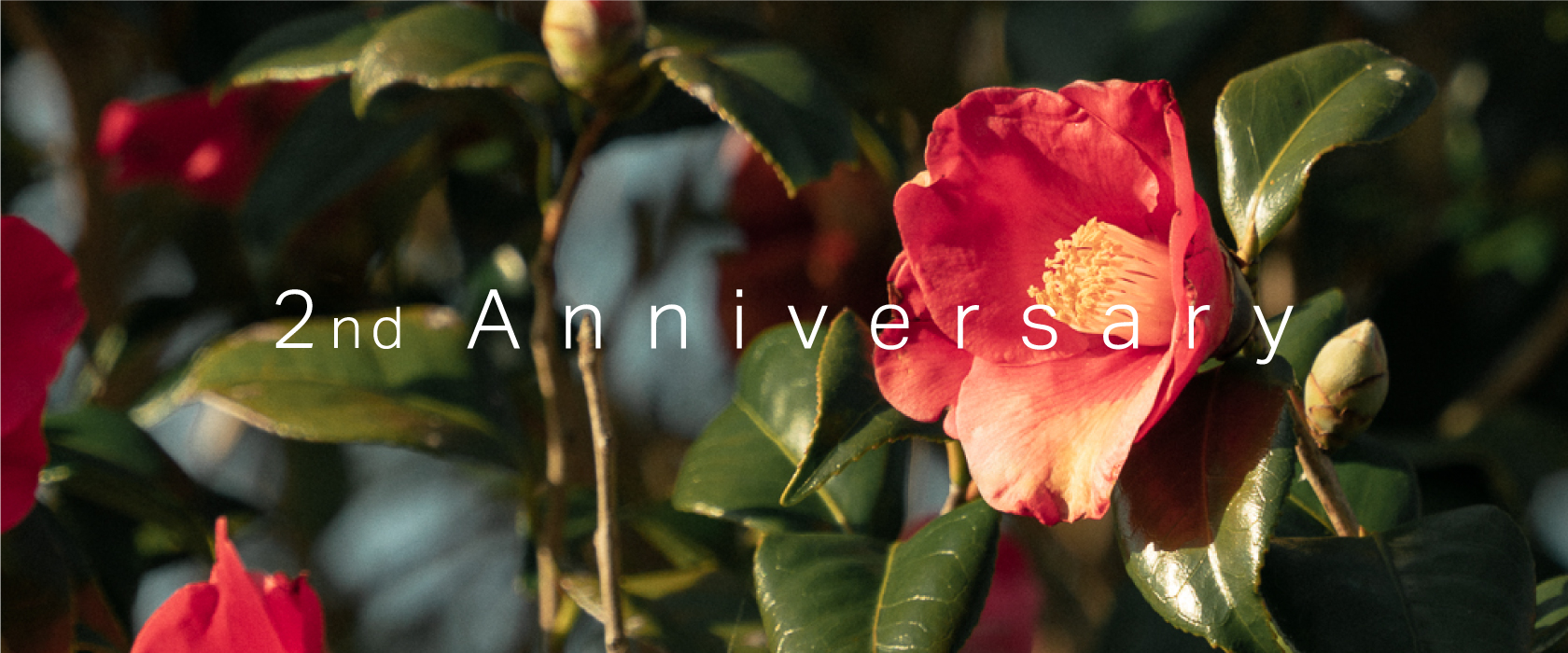 農園生まれのスキンケアブランド「ON&DO」がブランド誕生2周年を記念し特別キャンペーン「ON&DO 2nd Anniversary Campaign」を実施。