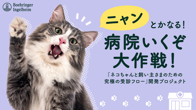 全国の猫の飼い主を対象に【動物病院受診に関する実態調査】を実施7割以上の飼い主が「猫の受診ジレンマ」※を感じていることが判明