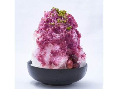 【毎年大好評】“くず餅乳酸菌(R)”入りかき氷を2026年も提供開始