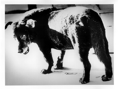 【メズム東京、オートグラフ コレクション】TOKYO WAVES ART EXHIBITION チャプタ...