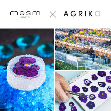 メズム東京、オートグラフ コレクション メズム東京 × AGRIKOサステナブルな美食体験 ― 「メズムのパート・ド・フリュイ」誕生