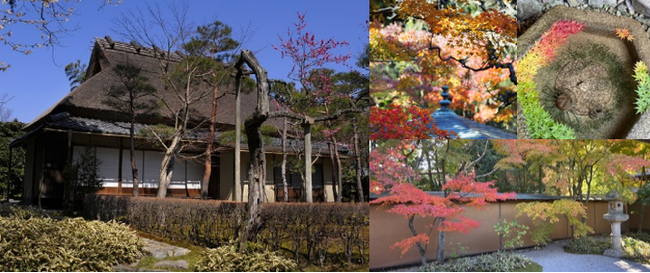 一条恵観山荘 入園券付き宿泊プラン販売