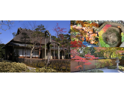 一条恵観山荘 入園券付き宿泊プラン販売