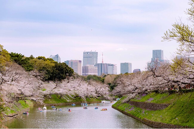 【東京ステーションホテル】ホテルから始まる桜体験