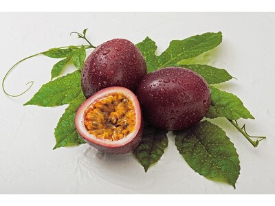 【ホテルメトロポリタン】6月10日は「鹿児島パッションフルーツの日」鹿児島県のパッションフルーツをプレゼント