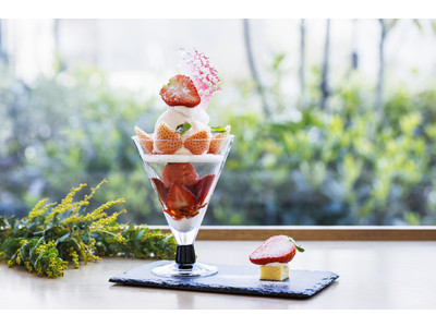 【ホテルメトロポリタン川崎「Terrace and Table」】スカイベリー・ロイヤルクイーン・淡雪の赤白いちごパフェ「the ICHIGO」