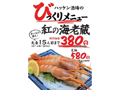 【ハッケン酒場】赤字覚悟！6月1日（月）より期間限定赤海老刺身が380円に！毎月恒例の“びっくりメニュー”