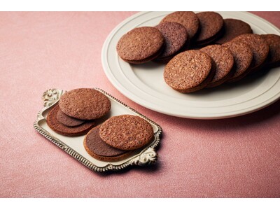 【夏の手土産に】常温で持ち歩けるチョコレートスイーツを新発売。横浜発のクラフトチョコレート専門店VANILLABEANS、焼き菓子2シリーズを6月18日(木)より定番商品化