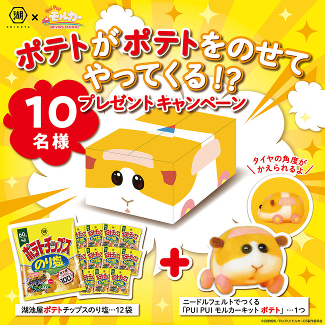 yΒr̃|eg~J[̃|egzg|eghg|egh悹Ă͂!?Βŕg|egh悹J[g|eghCP{