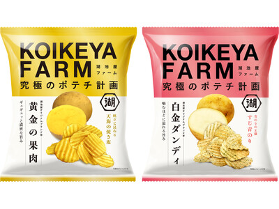 “湖池屋オリジナルブランド芋でつくるポテトチップス”ついに定番化!「KOIKEYA FARM 黄金の果肉...