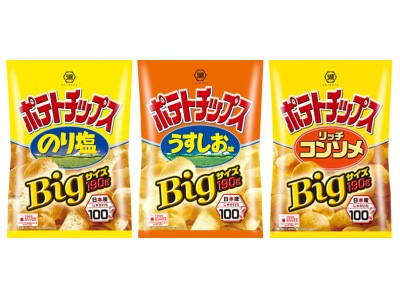 レギュラーサイズ※(60g)の３倍超　のり塩・うすしお味・リッチコンソメ　Ｂｉｇサイズ(190ｇ)が新登場