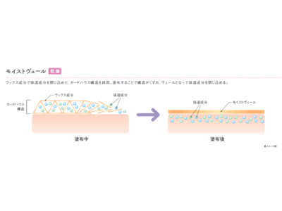 気になる毛穴目立ち、乾燥ケアができるスティック状美容液「ＤＨＣ モイストヴェール スティック」発売のお知らせ