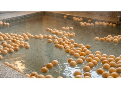 湘南RESORT SPA 竜泉寺の湯、10月8日「木の日」から神奈川県産の木を使った「木のお風呂」「木の香りのロウリュ」を開始
