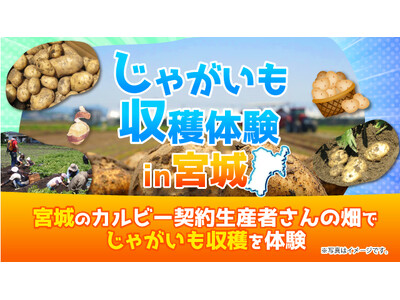 3年連続！宮城県の契約生産者の畑でファンミーティングを開催 Calbee『Fan With! Project』～じゃがいも収穫体験 in 宮城～
