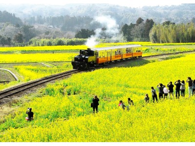 あなたも一緒に里おこし！ グッドデザイン賞受賞記念・トロッコ列車乗車整理券発売