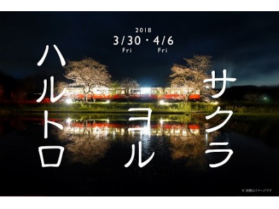春爛漫！夜桜トロッコ列車運転
