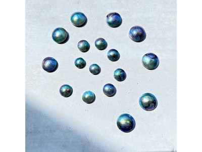 アワビから採れた稀少な真珠『アバロンパール』シリーズ第2弾が7/1(金)より発売開始。