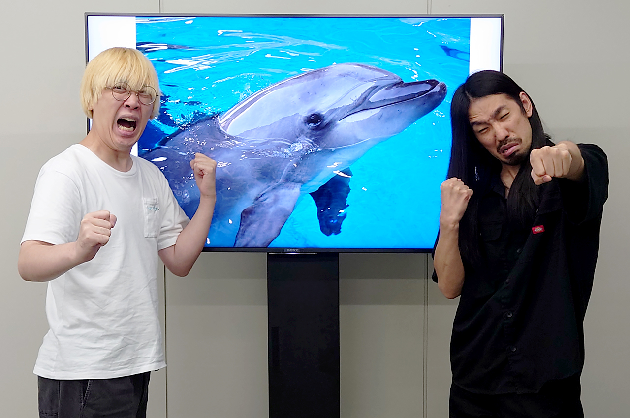 「真空ジェシカ VS イルカ in 新江ノ島水族館」会場チケット完売！大好評につきアーカイブ配信決定！！