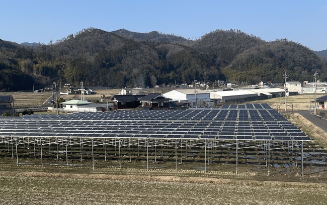 ＜訂正あり＞レンゲ咲く田んぼで営農型太陽光発電を開始